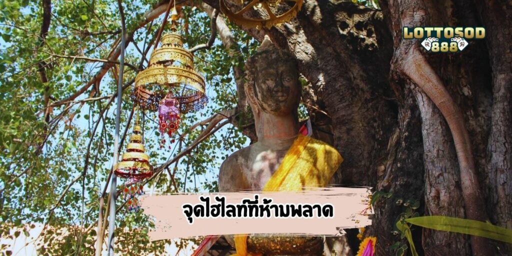 จุดไฮไลท์ที่ห้ามพลาด