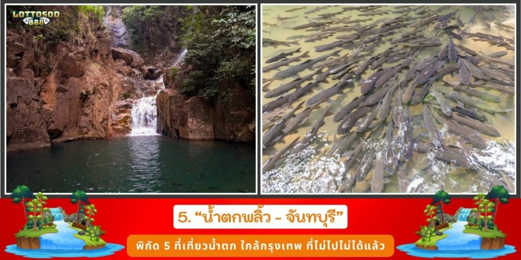 น้ำตกสวย