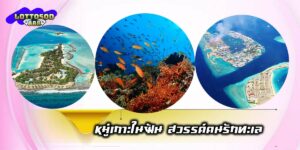 Maldives tour-01