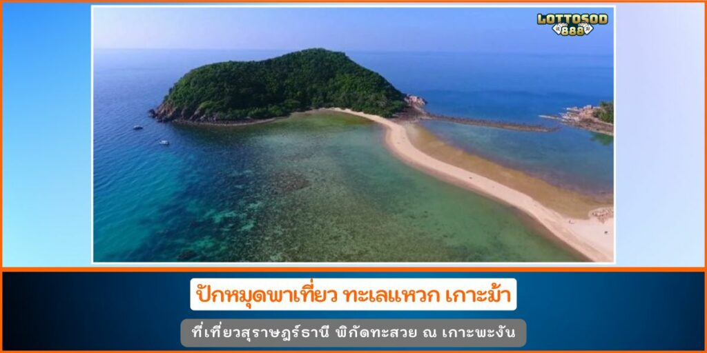 ทะเลแหวก เกาะม้า