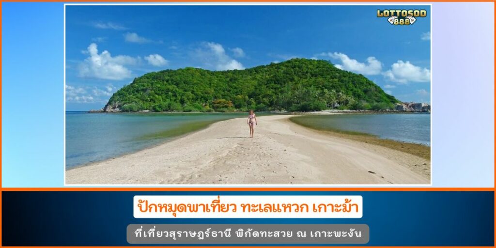 ทะเลแหวก เกาะม้า