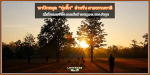 ทุ่งกิ๊ก