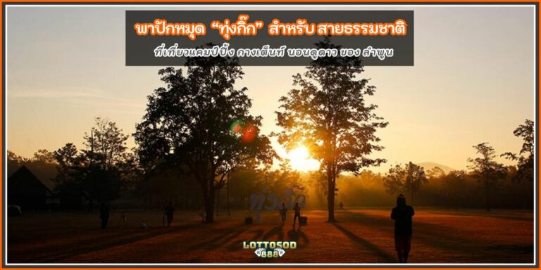 ทุ่งกิ๊ก