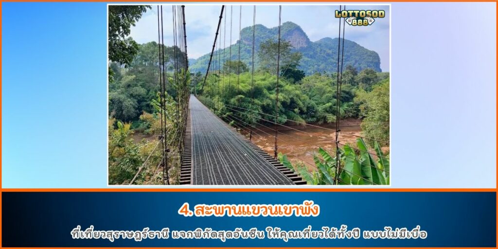 ท่องเที่ยวสุราษร์ธานี