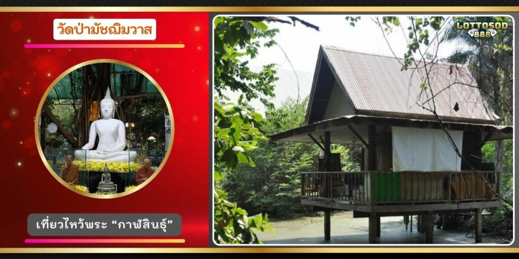 วัดป่ามัชฌิมวาส