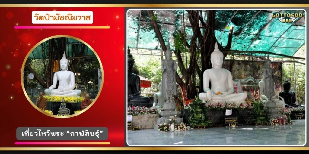 วัดป่ามัชฌิมวาส