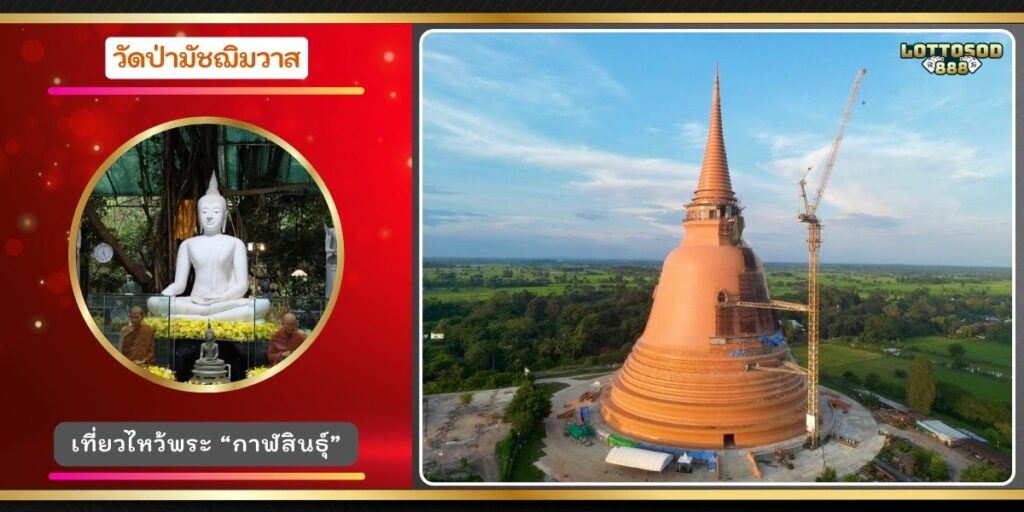 วัดป่ามัชฌิมวาส