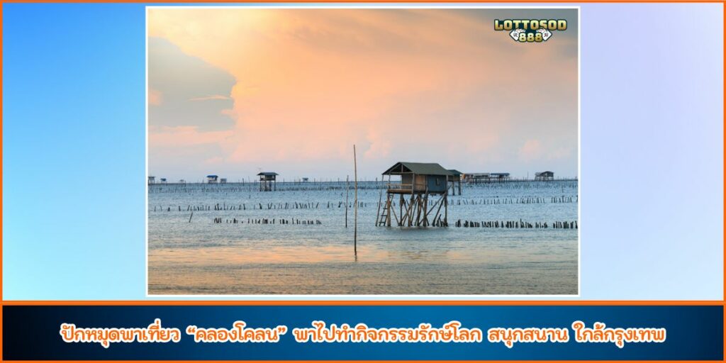 คลองโคลน