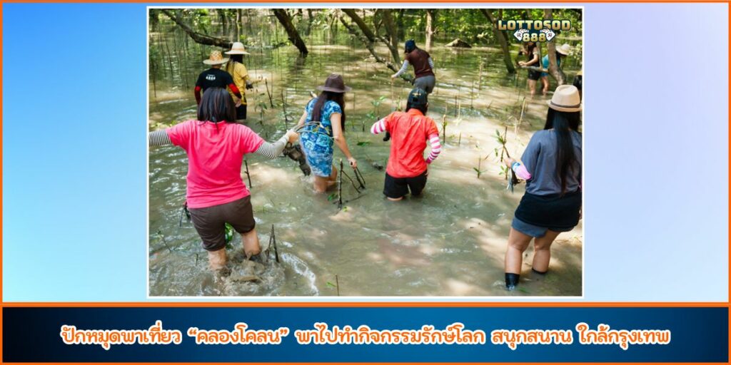 คลองโคลน