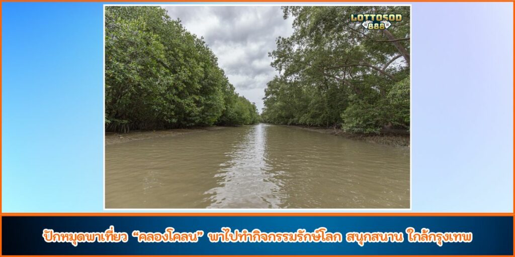 คลองโคลน