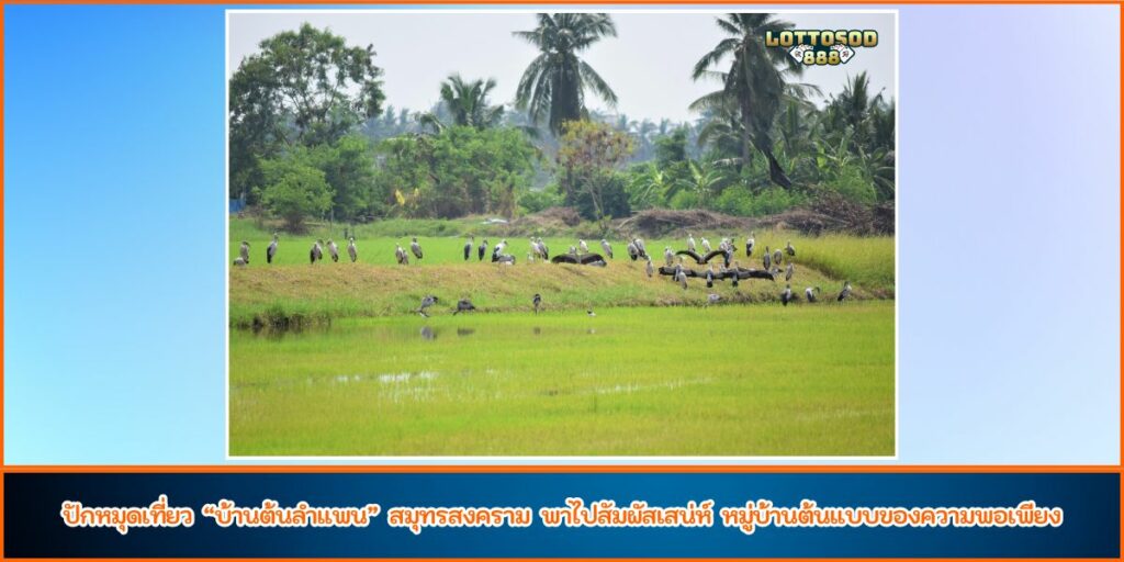 บ้านต้นลำแพน